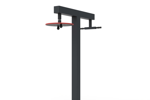 Arm Extension